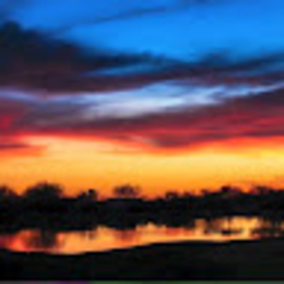 Meet your Posher, Heather - Picture 1 of 1